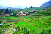 vietnam