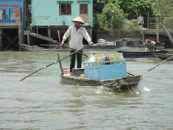 mekong delta floating market 