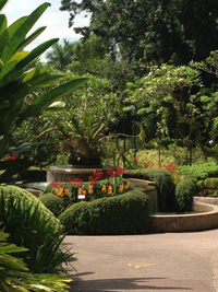 botanic gardens