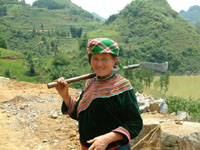 SAPA